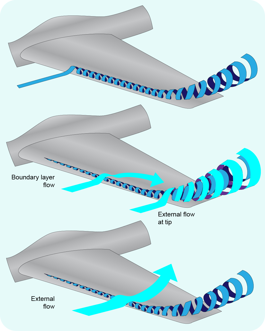 Figure 3-26 – Development of the Ram’s Horn vortex